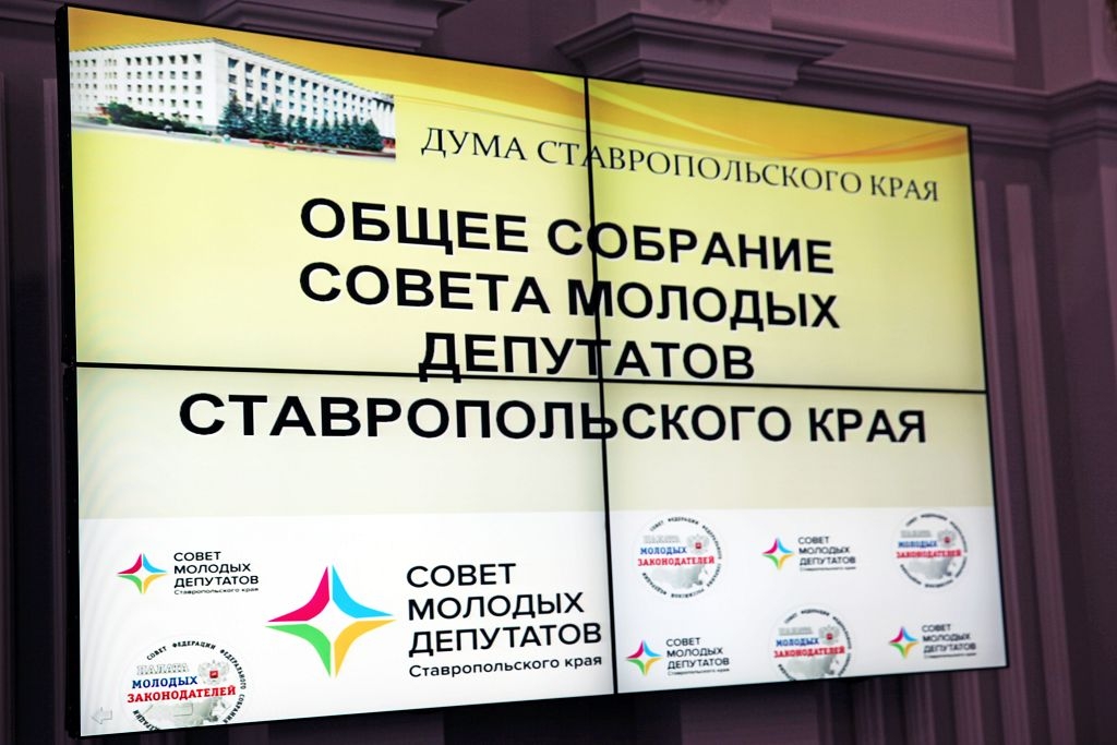 Молодые депутаты обсуждали перспективы цифровой экономики