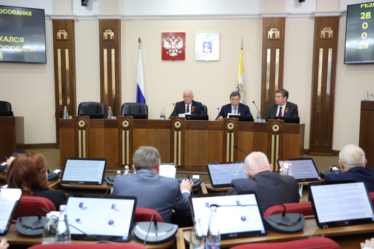 Депутаты краевой Думы расширили перечень видов деятельности социально ориентированных НКО